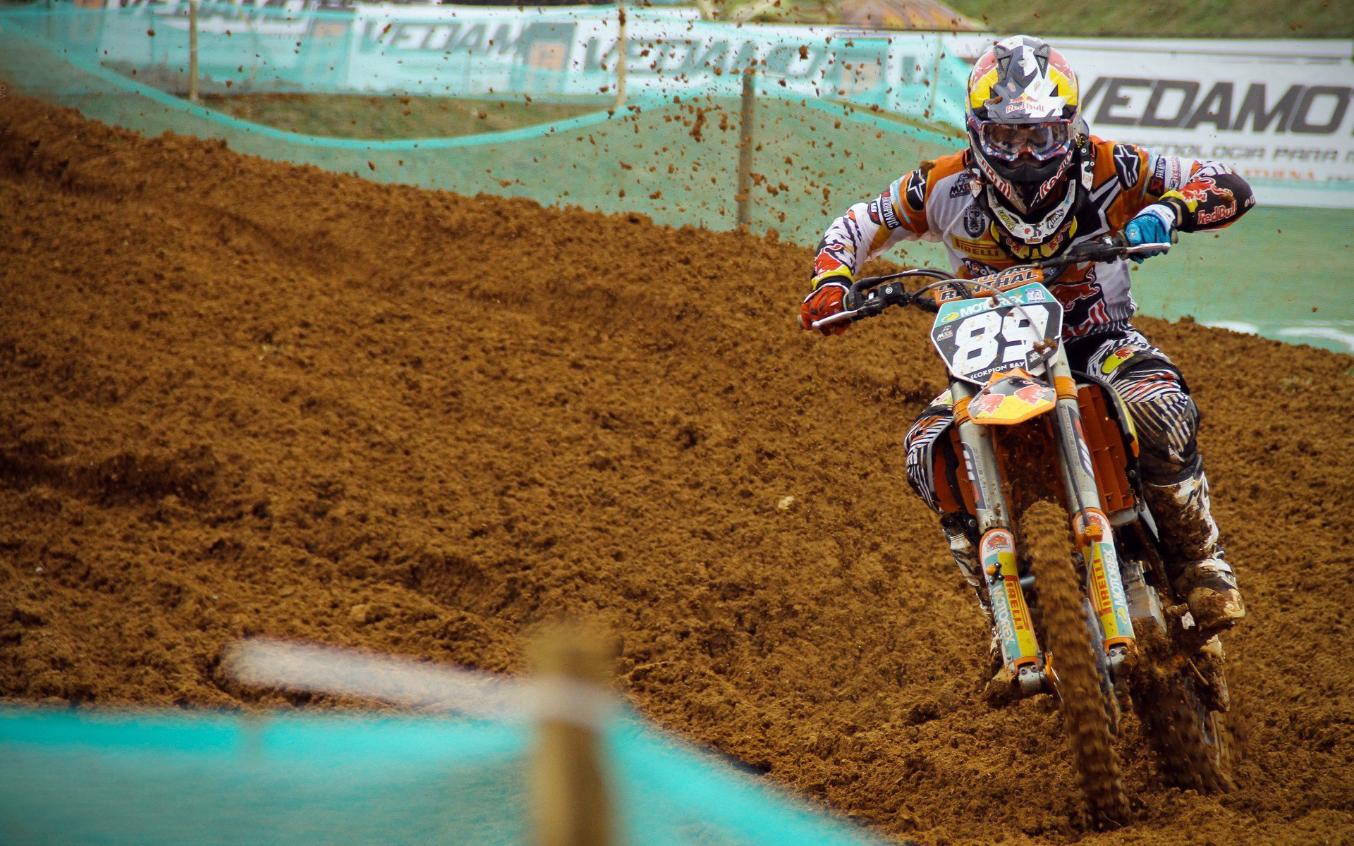 _猛龙展现韧性，逆转取胜赢得尊敬_，猛龙出击